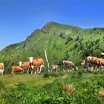 Apartman Alpska Perla *