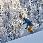 Alpska Perla Apartman Cerkno
