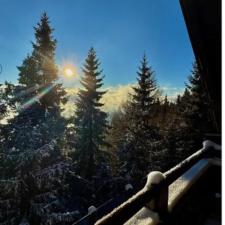 Alpska Perla *