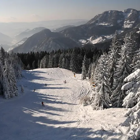 Alpska Perla Apartment