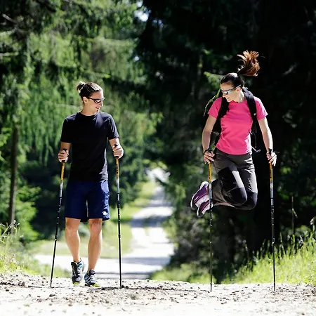 Apartmán Alpska Perla *