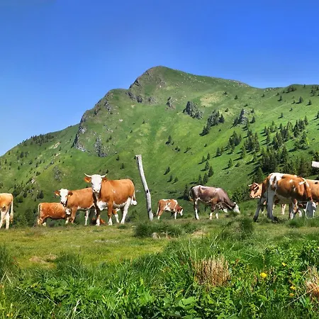 Appartamento Alpska Perla *