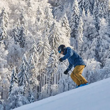 Alpska Perla アパート ツェルクノ