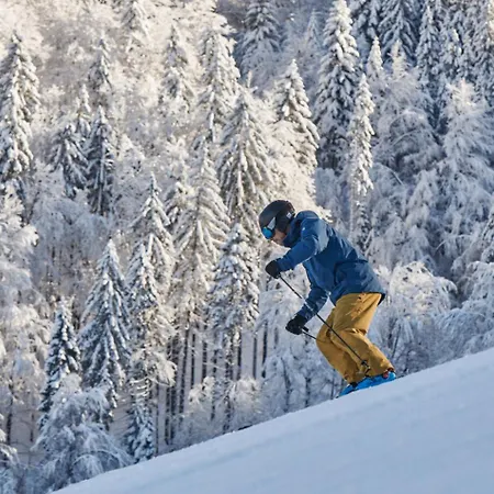 Alpska Perla Apartment Cerkno