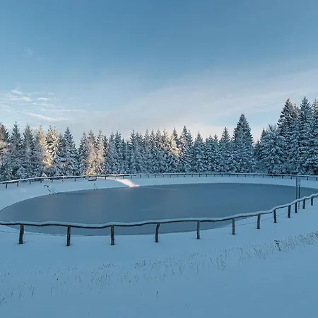 Apartmán Alpska Perla *