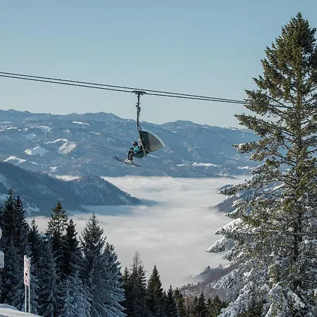 Alpska Perla Apartment Cerkno