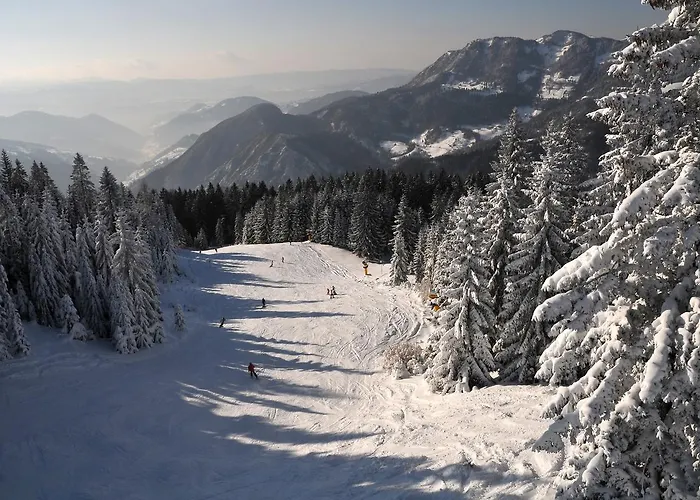 Alpska Perla Appartement