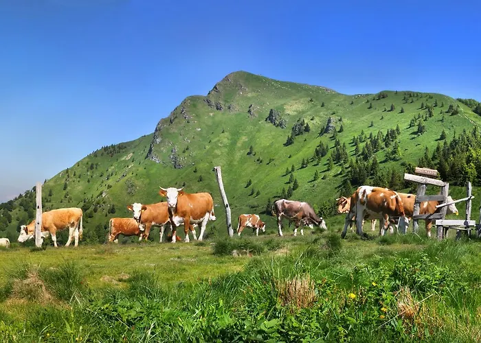 Appartement Alpska Perla *