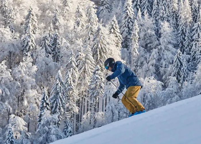 Alpska Perla Appartement Cerkno
