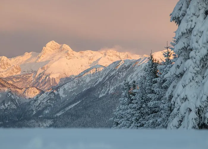 Alpska Perla * Cerkno